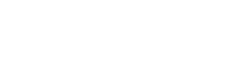 Birdun | Tecnología e Innovación